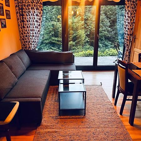 Apartament Butorowy Cichy Potok Kościelisko Zewnętrze zdjęcie
