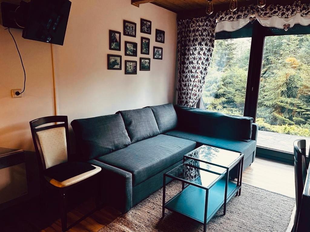 Apartament Butorowy Cichy Potok Kościelisko Zewnętrze zdjęcie